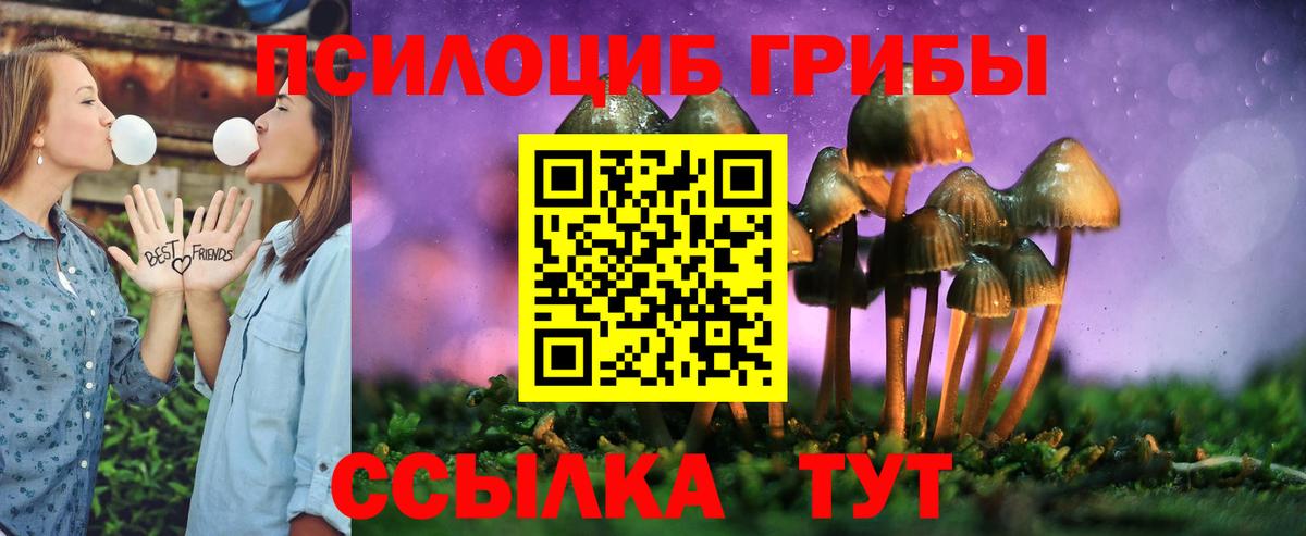 Рубцовск  Псилоцибиновые грибы GOLDEN TEACHER  Псилоцибиновые грибы мухоморы  Вход с VPN 